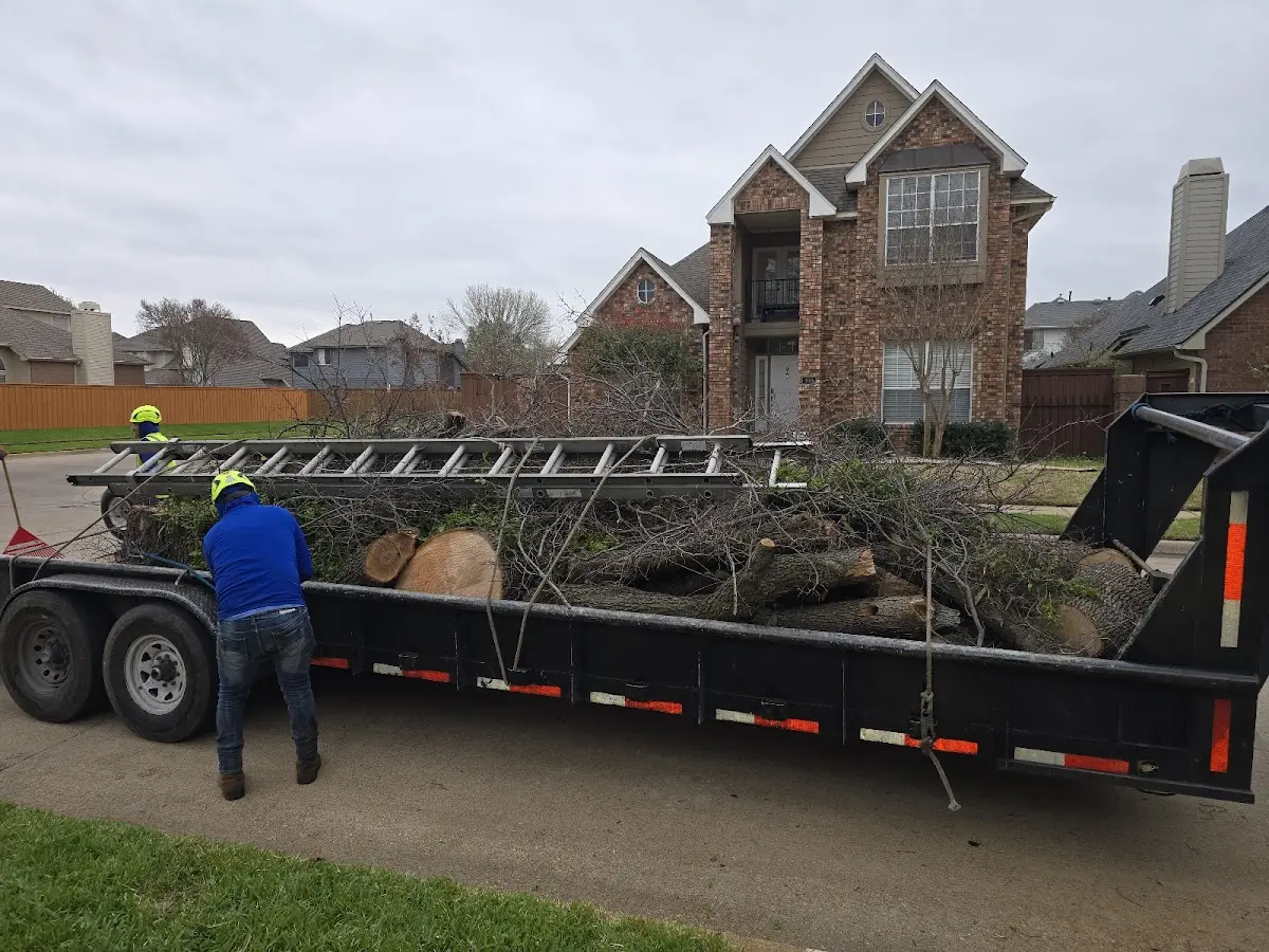 Expert Lot Clearing with proper safety equipment in Somerset